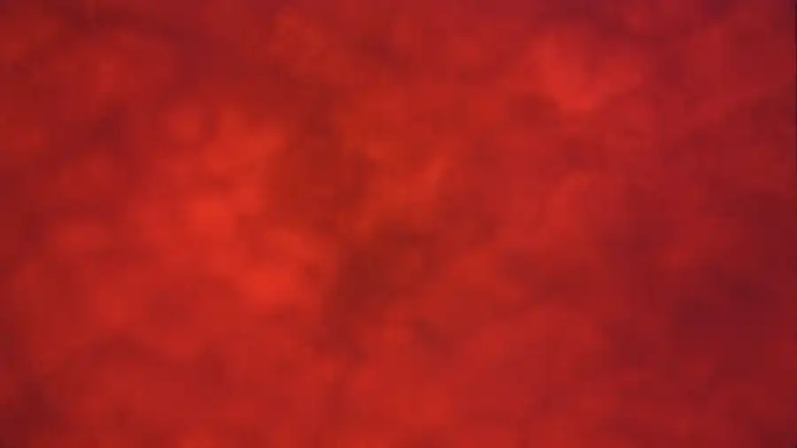 Microscope view with no particles on the membrane (example 2)