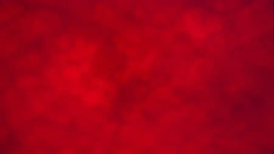 Microscope view with no particles on the membrane (example 3)