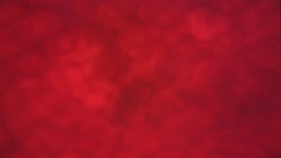 Microscope view with no particles on the membrane (example 6)