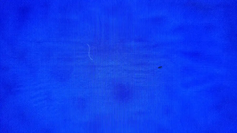 A microplastic fiber glowing on the filter membrane, with a dark speck beside it, at 10x