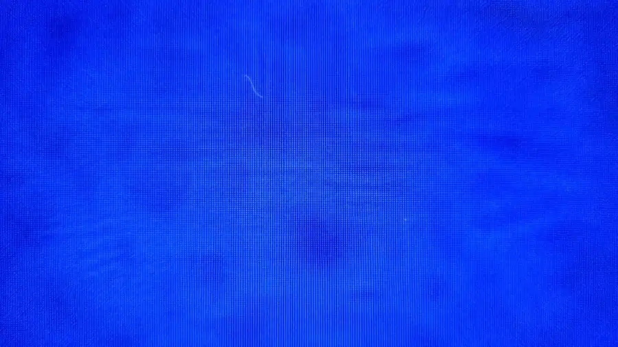 A short bright fiber near the top of the filter membrane