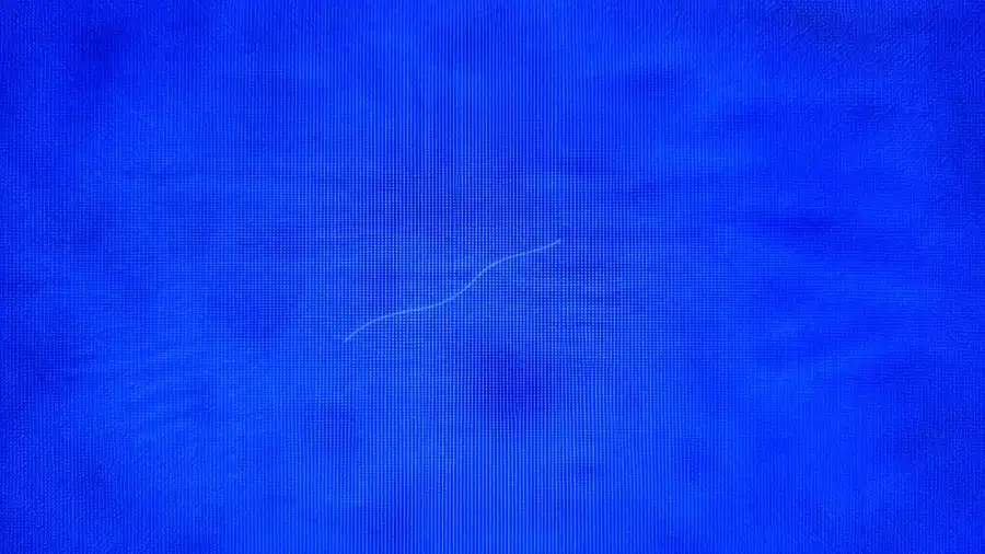 A long curved fiber running across the filter membrane