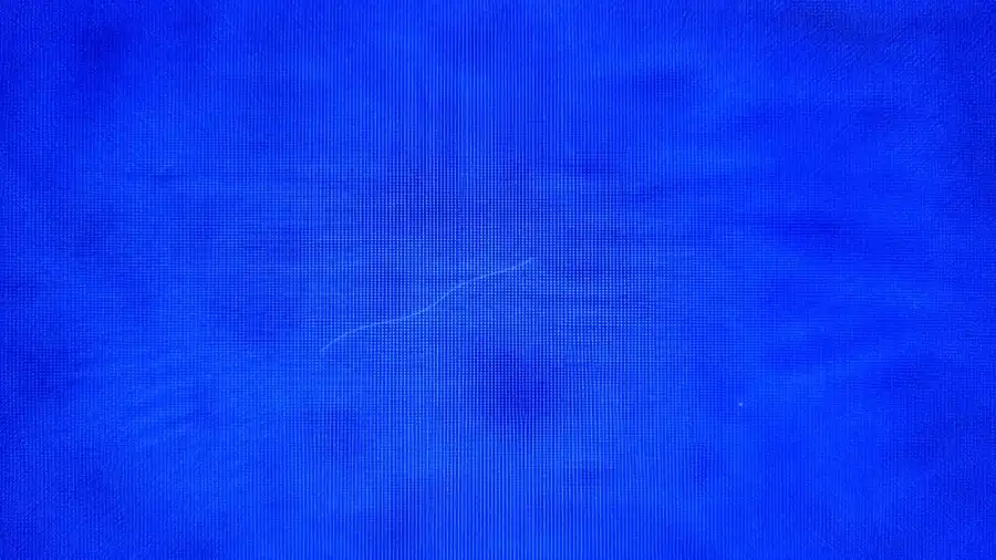A thin fiber with bright points along it on the filter membrane