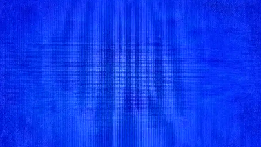 Several small bright dots scattered across the filter membrane